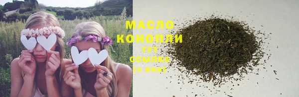 индика Михайлов