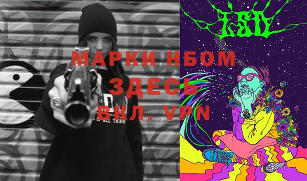 индика Михайлов