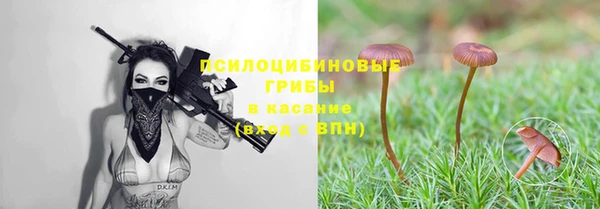 спиды Михайловка