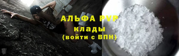 индика Михайлов