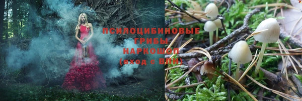 спиды Михайловка