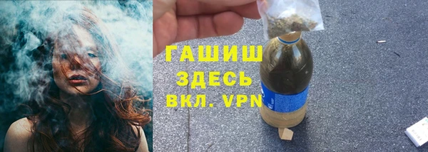 индика Михайлов