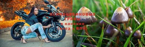 индика Михайлов