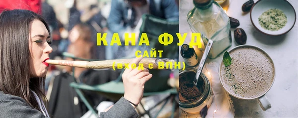 индика Михайлов