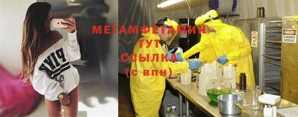 индика Михайлов